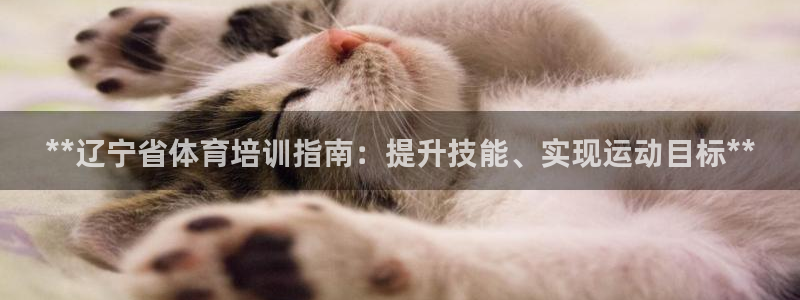 焦点娱乐官网下载苹果版：**辽宁省体育培训指南：提升