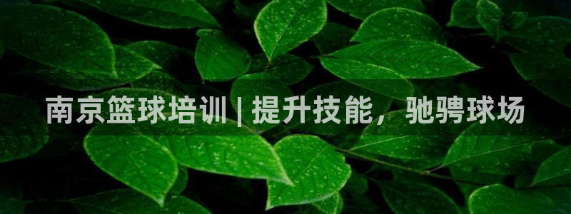 焦点娱乐传媒有限公司：南京篮球培训 | 提升技能，驰