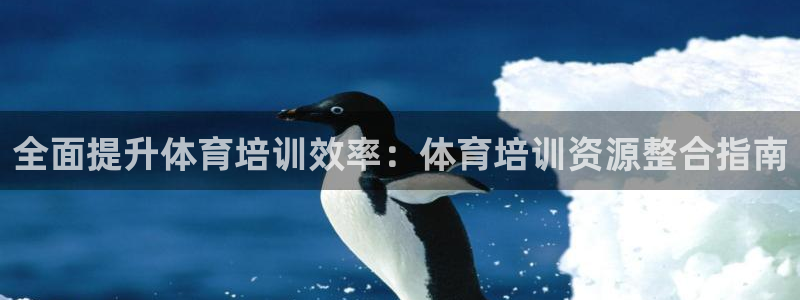 焦点娱乐app下载官网苹果版：全面提升体育培训效率：
