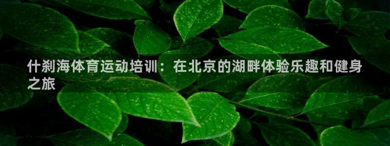 焦点娱乐官网：什刹海体育运动培训：在北京的湖畔体验乐