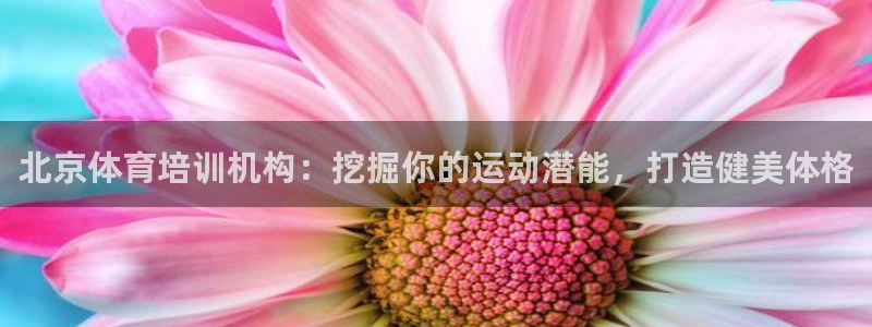 焦点娱乐平台注册账号怎么注销不了：北京体育培训机构：挖掘你的