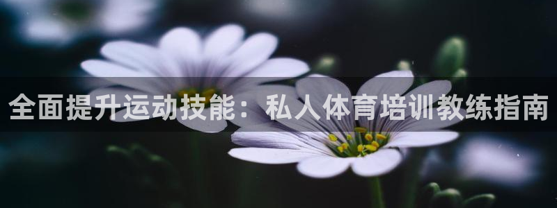 焦点娱乐直属：全面提升运动技能：私人体育培训教练指南