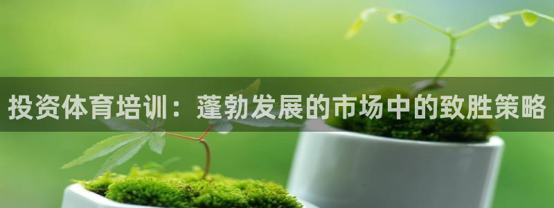 焦点娱乐加速器：投资体育培训：蓬勃发展的市场中的致胜