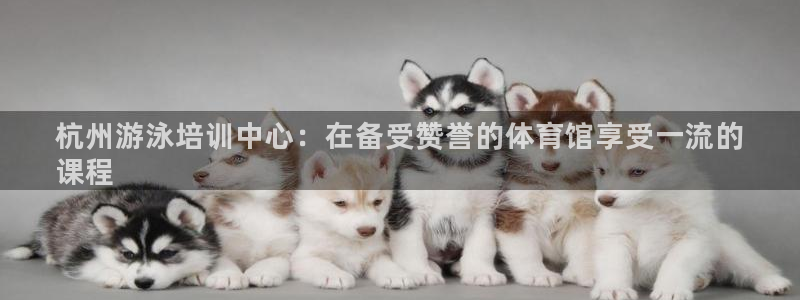 焦点娱乐平台章7O777：杭州游泳培训中心：在备受赞