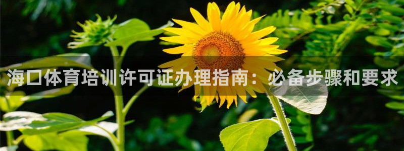 焦点娱乐财神：海口体育培训许可证办理指南：必备步骤和