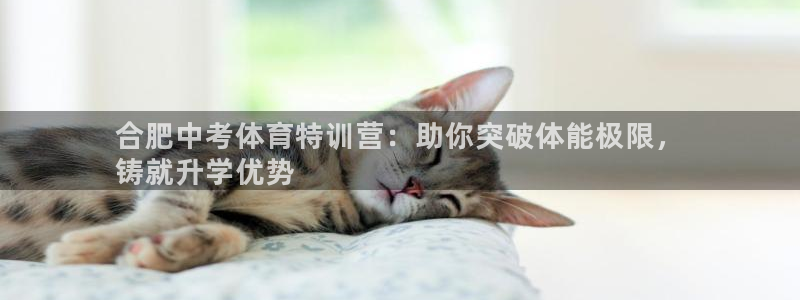 焦点娱乐陈江河：合肥中考体育特训营：助你突破体能极限