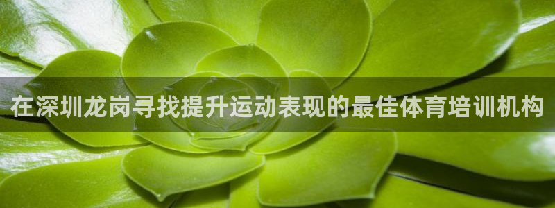 焦点娱乐无法提现怎么办：在深圳龙岗寻找提升运动表现的