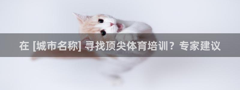 焦点娱乐平台账号在哪注册：在 [城市名称] 寻找顶尖