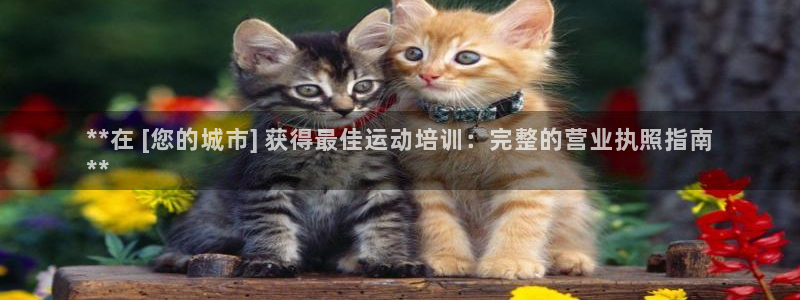 焦点娱乐app下载官网：**在 [您的城市] 获得最