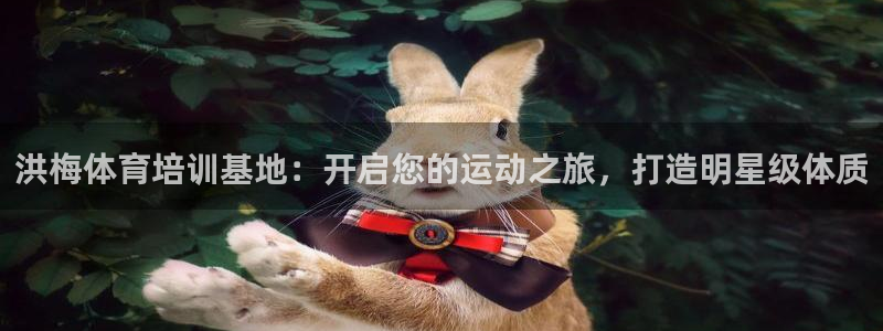 焦点娱乐平台客服热线：洪梅体育培训基地：开启您的运动之旅，打