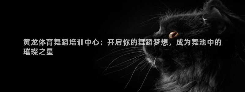焦点娱乐传媒有限公司怎么样啊赚钱吗：黄龙体育舞蹈培训中心：开