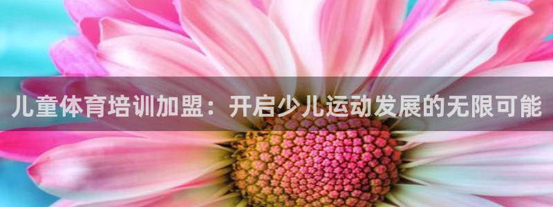 焦点娱乐传媒有限公司怎么样啊知乎：儿童体育培训加盟：开启少儿