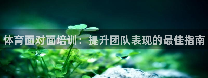 焦点娱乐平台业7O777：体育面对面培训：提升团队表现的最佳