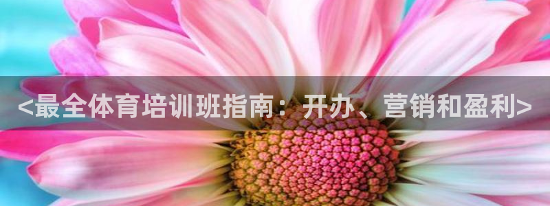 焦点娱乐公司是干嘛的：<最全体育培训班指南：开办、营