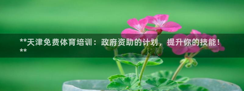 焦点娱乐：**天津免费体育培训：政府资助的计划，提升你的技能