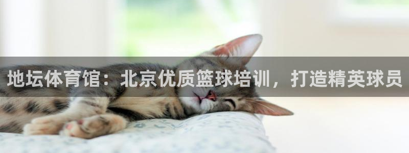 焦点娱乐说说文案：地坛体育馆：北京优质篮球培训，打造精英球员