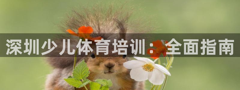 焦点娱乐是什么软件：深圳少儿体育培训：全面指南