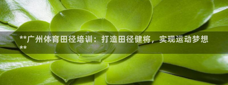 焦点娱乐传媒有限公司：**广州体育田径培训：打造田径