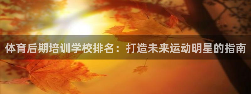 焦点娱乐平台登录不了了：体育后期培训学校排名：打造未