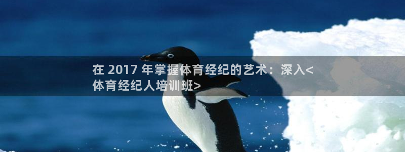 焦点娱乐游戏怎么玩的：在 2017 年掌握体育经纪的