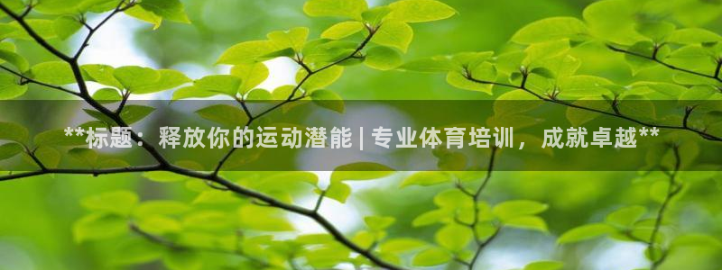 焦点娱乐官方网站入口下载安装：**标题：释放你的运动