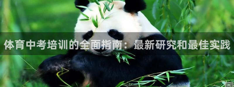 焦点娱乐官网下载苹果手机版：体育中考培训的全面指南：最新研究