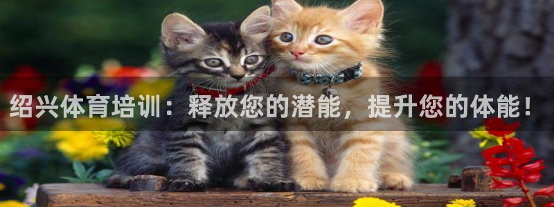 焦点娱乐可以解封银行卡吗：绍兴体育培训：释放您的潜能