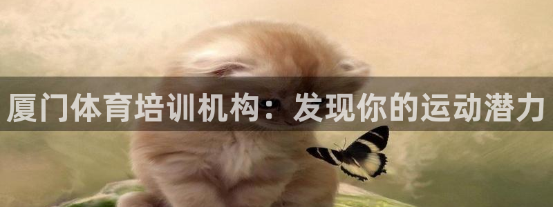 焦点娱乐游戏攻略：厦门体育培训机构：发现你的运动潜力