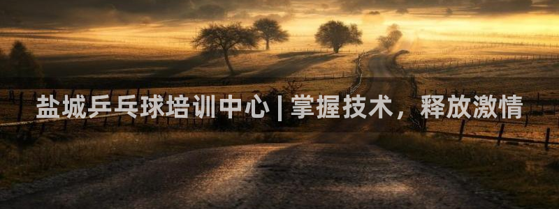 焦点娱乐游戏攻略：盐城乒乓球培训中心 | 掌握技术，