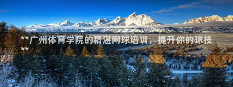 焦点娱乐app下载官网苹果手机：**广州体育学院的精湛网球培