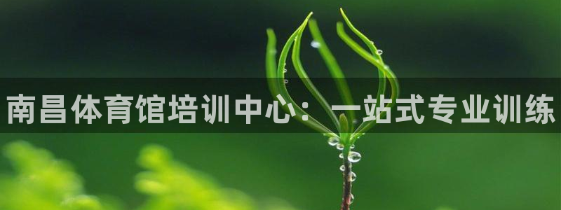 焦点娱乐下载手机版安装