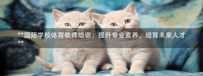 焦点娱乐游戏攻略大全：**国际学校体育教师培训：提升