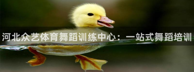 焦点娱乐游戏怎么玩的