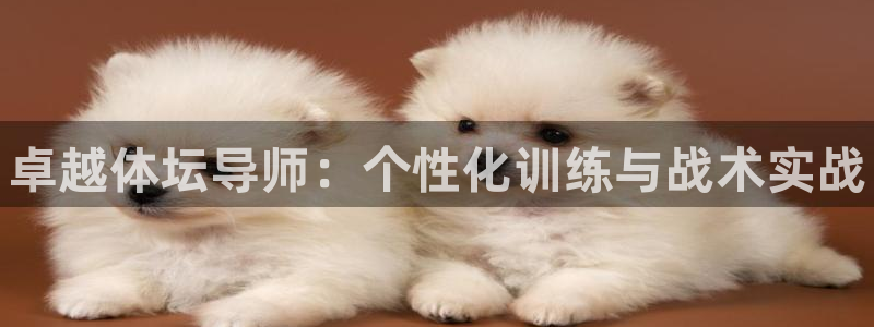 焦点娱乐官方网站首页下载手机版：卓越体坛导师：个性化训练与战