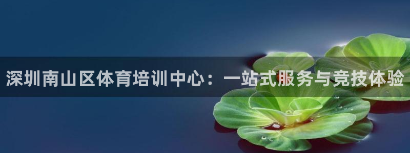 焦点娱乐官方网站下载手机版安装：深圳南山区体育培训中