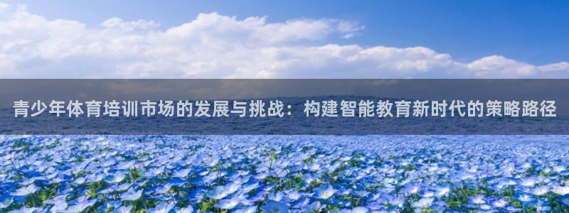 焦点娱乐无法提现到微信：青少年体育培训市场的发展与挑战：构建