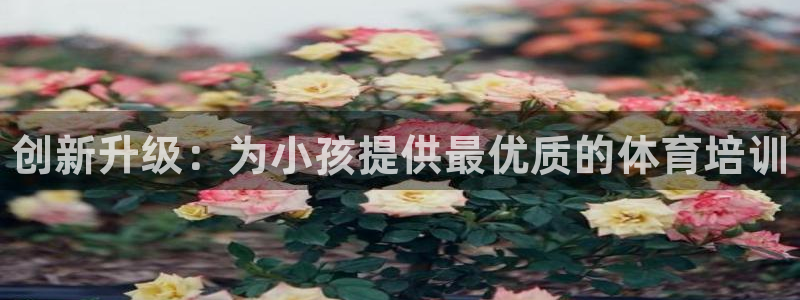 焦点娱乐官方网站入口：创新升级：为小孩提供最优质的体
