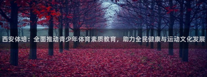 焦点娱乐无法提现怎么回事：西安体培：全面推动青少年体