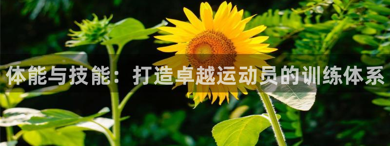 焦点娱乐黑平台：体能与技能：打造卓越运动员的训练体系