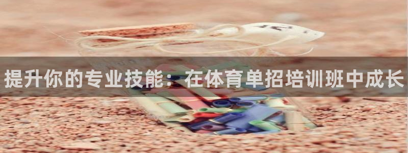 焦点娱乐app下载：提升你的专业技能：在体育单招培训班中成长