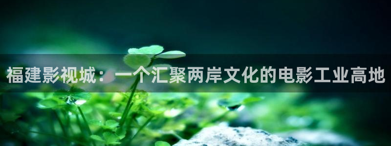 黑狐影院免费播放：福建影视城：一个汇聚两岸文化的电影工业高地