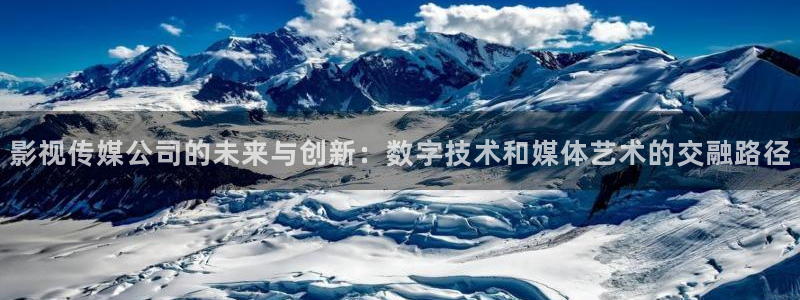 黑狐影院电视剧：影视传媒公司的未来与创新：数字技术和媒体艺术的交融路径