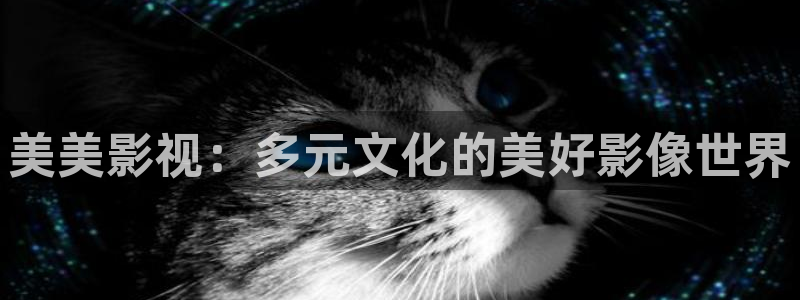 黑狐影院免费高清：美美影视：多元文化的美好影像世界