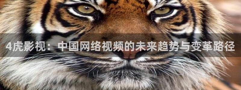 黑狐影院在线：4虎影视：中国网络视频的未来趋势与变革路径
