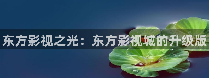 黑狐影院手机版高清电影免费观看：东方影视之光：东方影视城的升级版