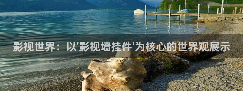 黑狐影院在线看：影视世界：以\'影视墙挂件\'为核心的世界观展示