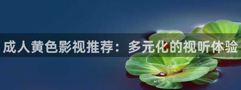 黑狐影院网在线观看：成人黄色影视推荐：多元化的视听体验