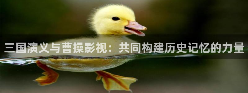 黑狐影院伦理：三国演义与曹操影视：共同构建历史记忆的力量