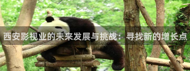 黑狐影院官网：西安影视业的未来发展与挑战：寻找新的增长点