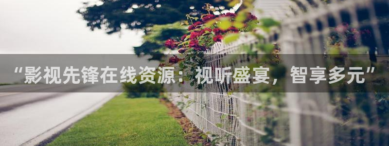 黑狐影院伦理：“影视先锋在线资源：视听盛宴，智享多元”